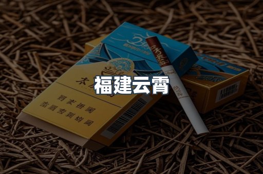 福建云霄